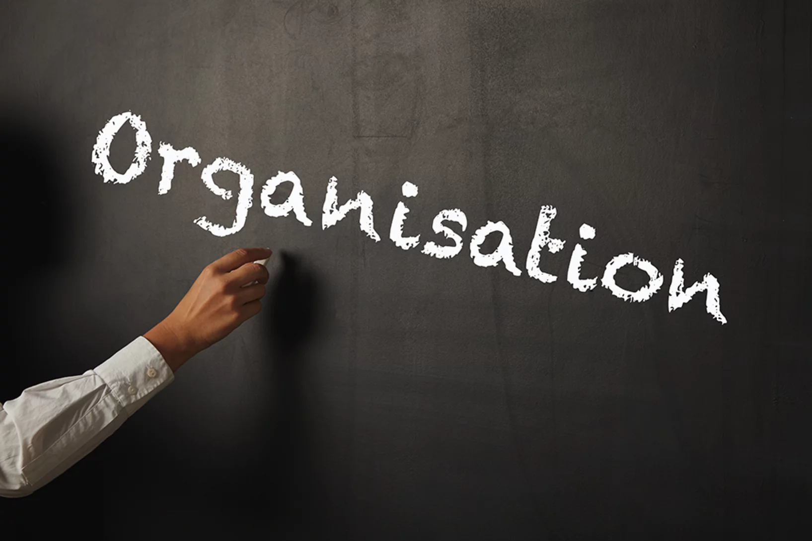 Organisation